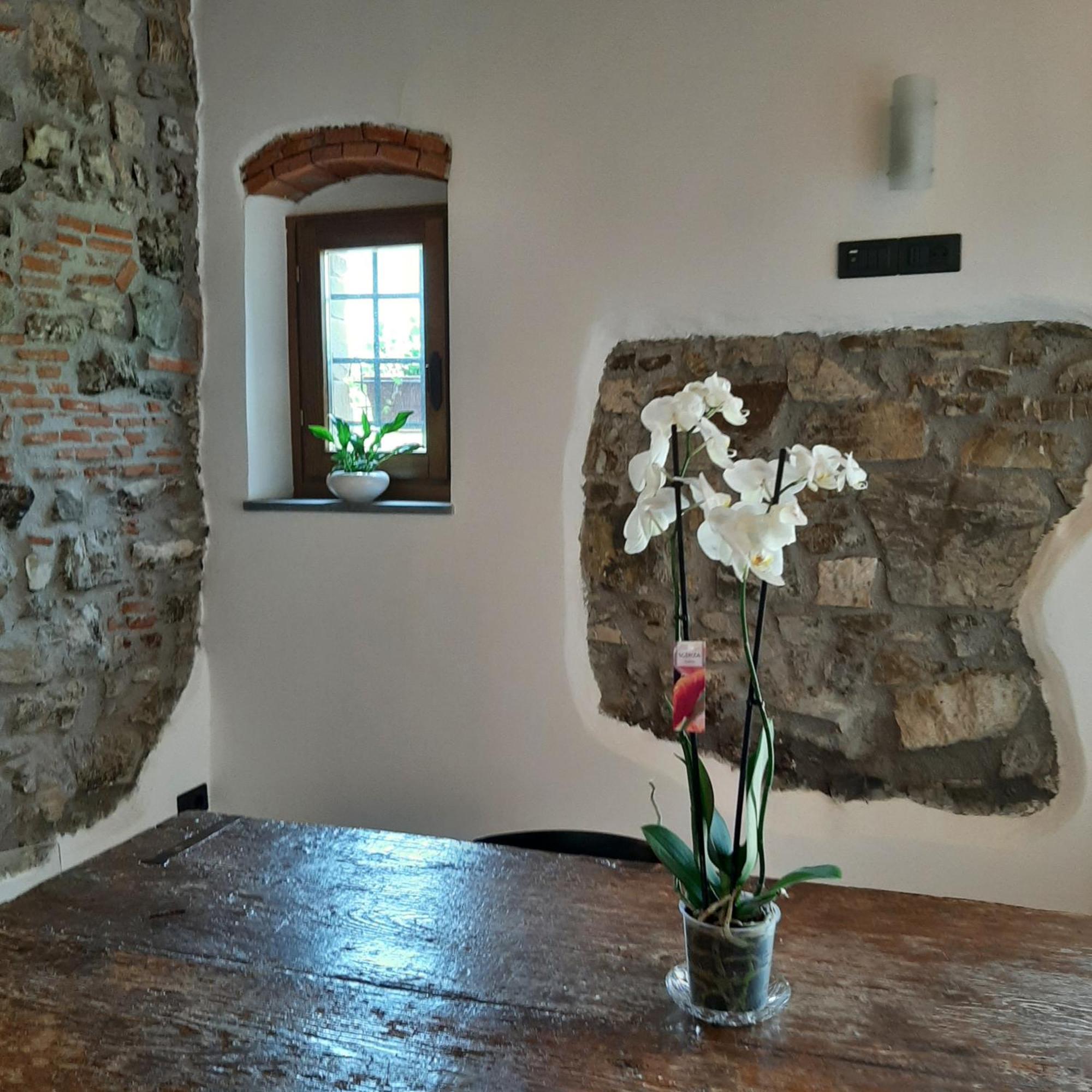 Affittacamere Il Vecchio Mandorlo Quarrata Exterior photo